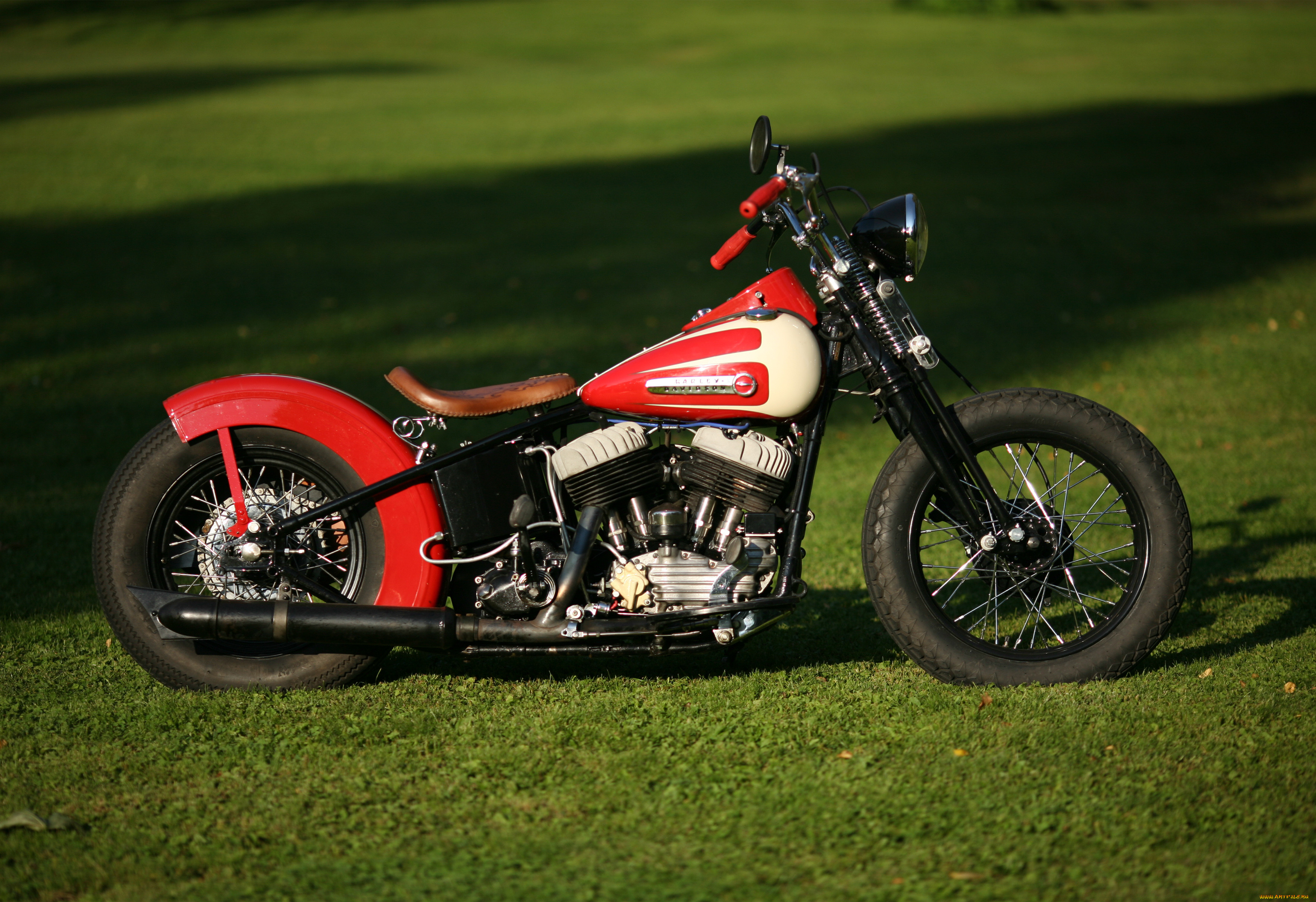 , harley-davidson, custom